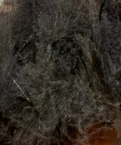 TroutHunter Premium CDC