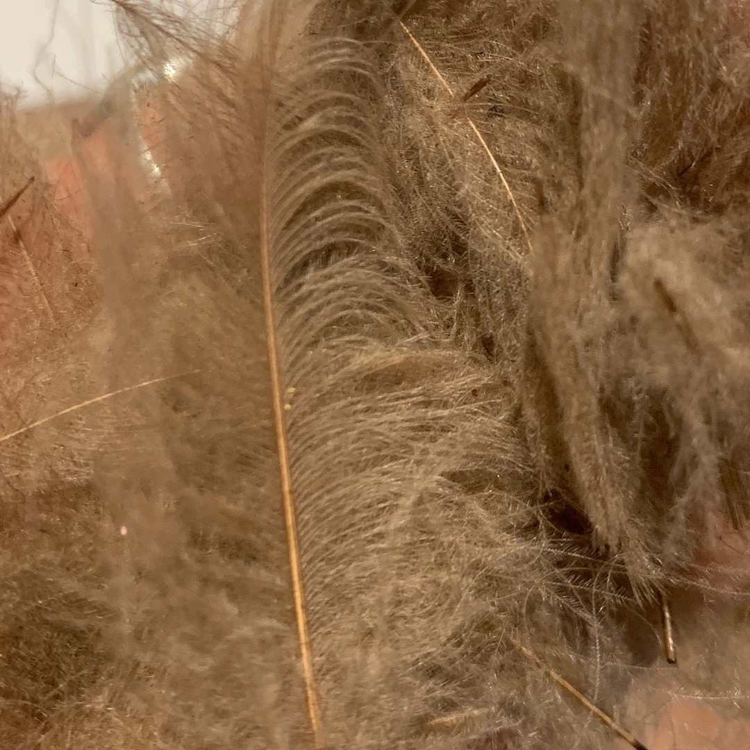 TroutHunter Premium Bulk CDC Feathers & Marabou 30 TroutHunter Premium Bulk CDC Feathers & Marabou