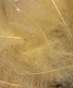 TroutHunter Premium Bulk CDC Feathers & Marabou 57 TroutHunter Premium Bulk CDC Feathers & Marabou