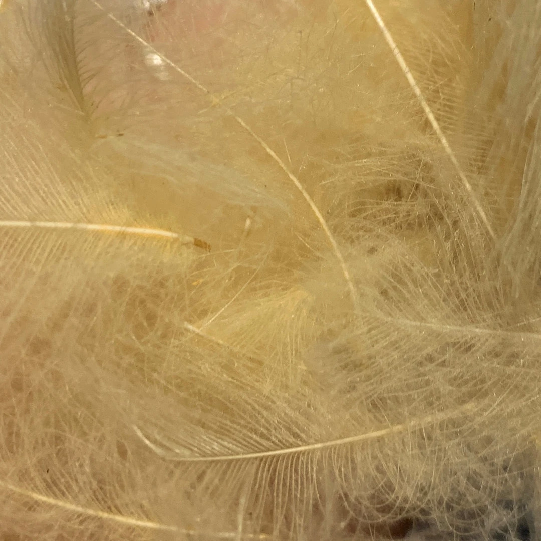 TroutHunter Premium Bulk CDC Feathers & Marabou 29 TroutHunter Premium Bulk CDC Feathers & Marabou