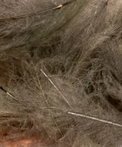 TroutHunter Premium CDC