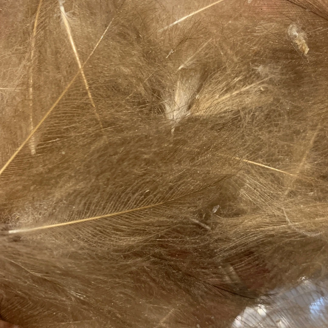 TroutHunter Premium Bulk CDC Feathers & Marabou 23 TroutHunter Premium Bulk CDC Feathers & Marabou