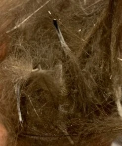 TroutHunter Premium Bulk CDC Feathers & Marabou 50 TroutHunter Premium Bulk CDC Feathers & Marabou