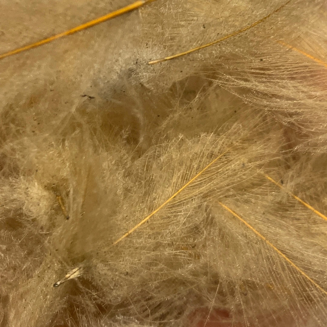 TroutHunter Premium Bulk CDC Feathers & Marabou 17 TroutHunter Premium Bulk CDC Feathers & Marabou