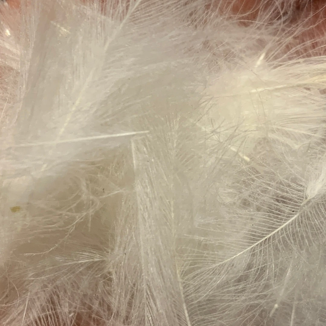 TroutHunter Premium Bulk CDC Feathers & Marabou 16 TroutHunter Premium Bulk CDC Feathers & Marabou