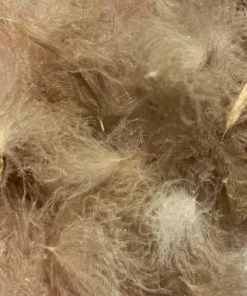 Nature's Spirit Swiss CDC Puffs Feathers & Marabou