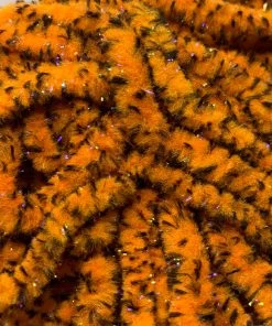 Hareline UV Mottled Galaxy Mop Chenille