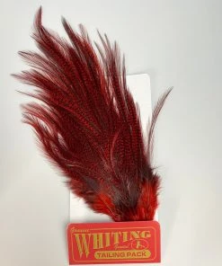 Hackle Whiting Coq De Leon Euro Nymph Tailing Pack