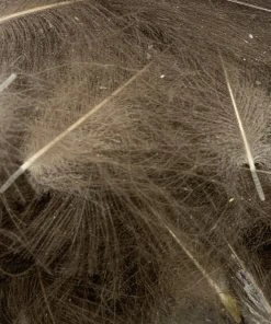 Nature's Spirit Swiss CDC Ultra Select XL Grade Feathers & Marabou