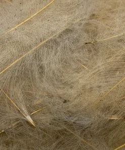 Nature's Spirit Swiss CDC Ultra Select XL Grade Feathers & Marabou