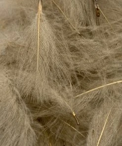 Nature's Spirit Feathers & Marabou Swiss CDC Super Select Grade