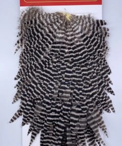 Hackle Whiting Red Label Hen Saddle