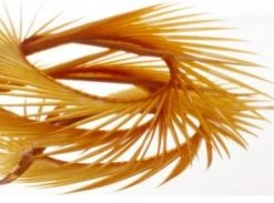 Semperfli Inferno Goose Biots Feathers & Marabou