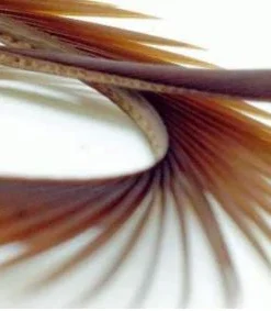 Semperfli Inferno Goose Biots Feathers & Marabou