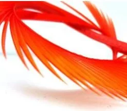 Semperfli Inferno Goose Biots Feathers & Marabou