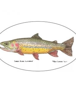 Pescador Jeff Currier Fish Decals Clothing & Logo Gear