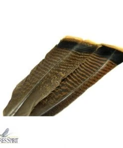 Nature's Spirit Ozark Oak Mottled Turkey Tail - Select Pair