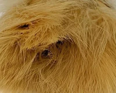 Nature's Spirit Fish Hunter Premium Strung Marabou Feathers & Marabou 13 Nature's Spirit Fish Hunter Premium Strung Marabou Feathers & Marabou