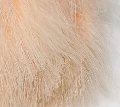 Nature's Spirit Fish Hunter Premium Strung Marabou Feathers & Marabou 20 Nature's Spirit Fish Hunter Premium Strung Marabou Feathers & Marabou