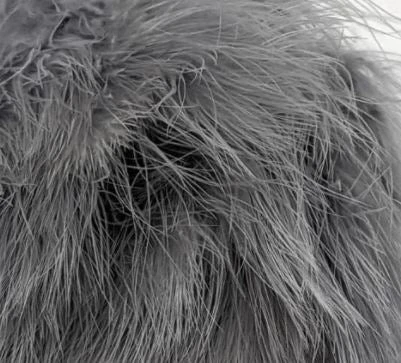 Nature's Spirit Fish Hunter Premium Strung Marabou Feathers & Marabou 51 Nature's Spirit Fish Hunter Premium Strung Marabou Feathers & Marabou