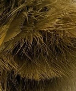 Nature's Spirit Fish Hunter Premium Strung Marabou Feathers & Marabou 134 Nature's Spirit Fish Hunter Premium Strung Marabou Feathers & Marabou