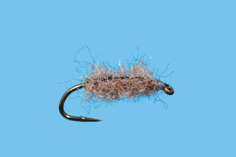 Solitude Hare Sow Bug - Dark 3 Solitude Hare Sow Bug - Dark