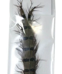 Feathers & Marabou Semperfli Single Knee Knotted Pheasant Tail