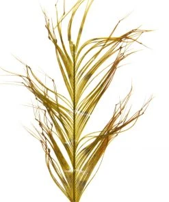 Semperfli Knotted Cranefly Legs Feathers & Marabou