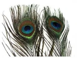Hareline Peacock Eye Sticks