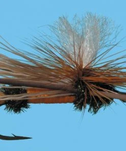 Solitude Para. X - Orange Shop Flies