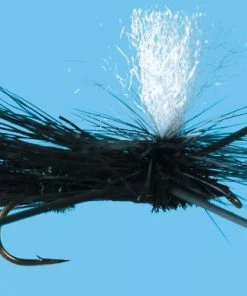 Solitude Para. X - Black