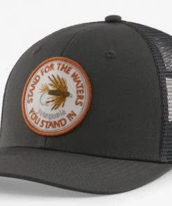 Patagonia Take A Stand Trucker Hat Hats
