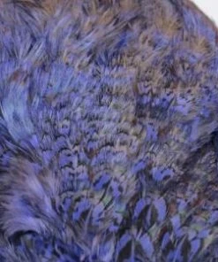 Nature's Spirit Feathers & Marabou Fish Hunter Ringneck Pheasant Rump Patch