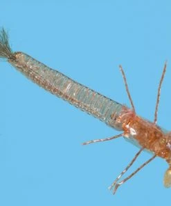 Solitude Ultra Damsel Nymph - Tan