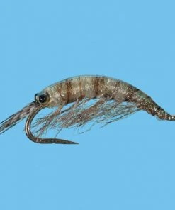 Solitude Shop Flies Ultra Scud - Gray