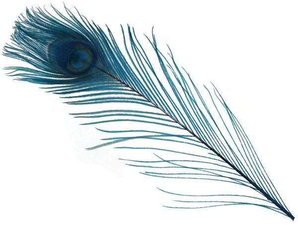 Spirit River Dyed Peacock Eyes Feathers & Marabou 4 Spirit River Dyed Peacock Eyes Feathers & Marabou