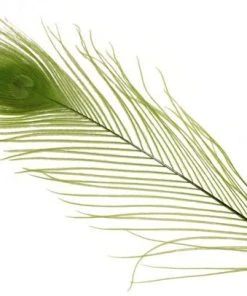 Spirit River Dyed Peacock Eyes Feathers & Marabou 13 Spirit River Dyed Peacock Eyes Feathers & Marabou