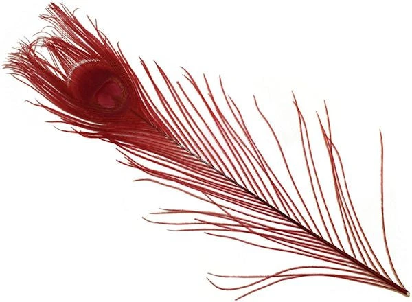 Spirit River Dyed Peacock Eyes Feathers & Marabou 7 Spirit River Dyed Peacock Eyes Feathers & Marabou