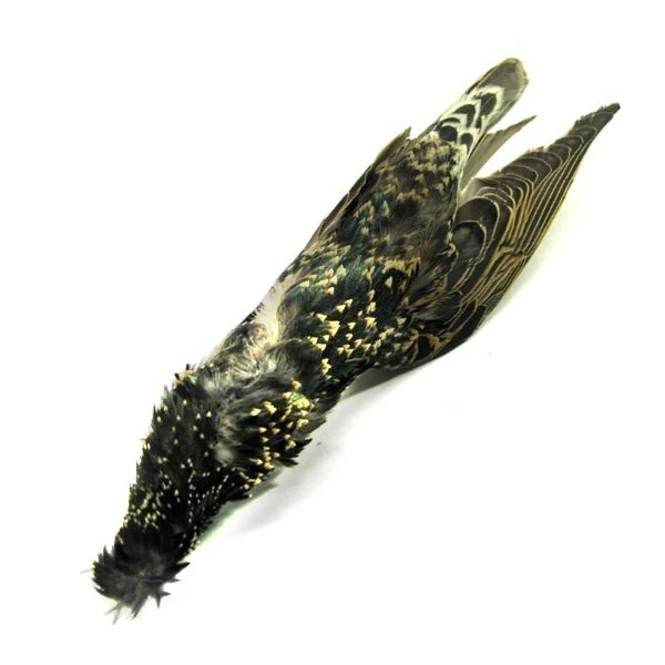 Hackle Nature's Spirit Starling Skin 3 Hackle Nature's Spirit Starling Skin