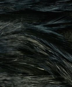 Nature's Spirit Hackle Fish Hunter Select Schlappen