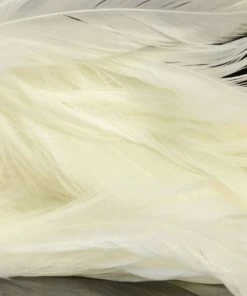 Nature's Spirit Hackle Fish Hunter Select Schlappen