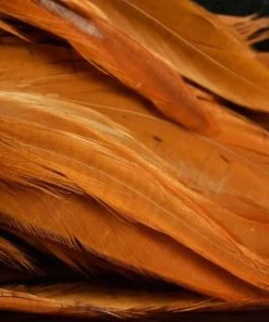 Nature's Spirit Hackle Fish Hunter Select Schlappen