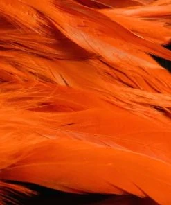 Nature's Spirit Hackle Fish Hunter Select Schlappen