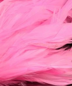 Nature's Spirit Hackle Fish Hunter Select Schlappen