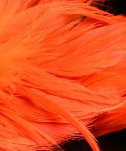 Nature's Spirit Hackle Fish Hunter Select Schlappen