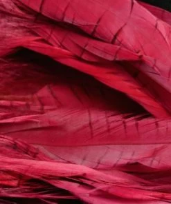 Nature's Spirit Hackle Fish Hunter Select Schlappen