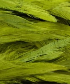 Nature's Spirit Hackle Fish Hunter Select Schlappen