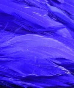 Nature's Spirit Hackle Fish Hunter Select Schlappen