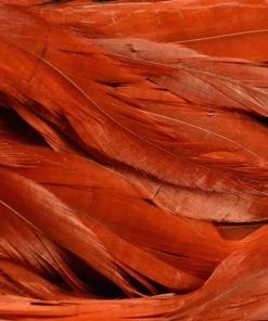 Nature's Spirit Hackle Fish Hunter Select Schlappen