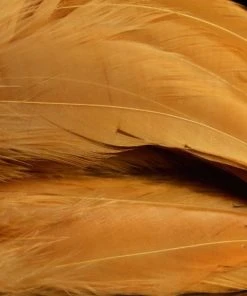 Nature's Spirit Hackle Fish Hunter Select Schlappen